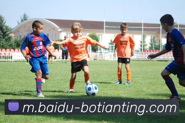 App Interface Preview